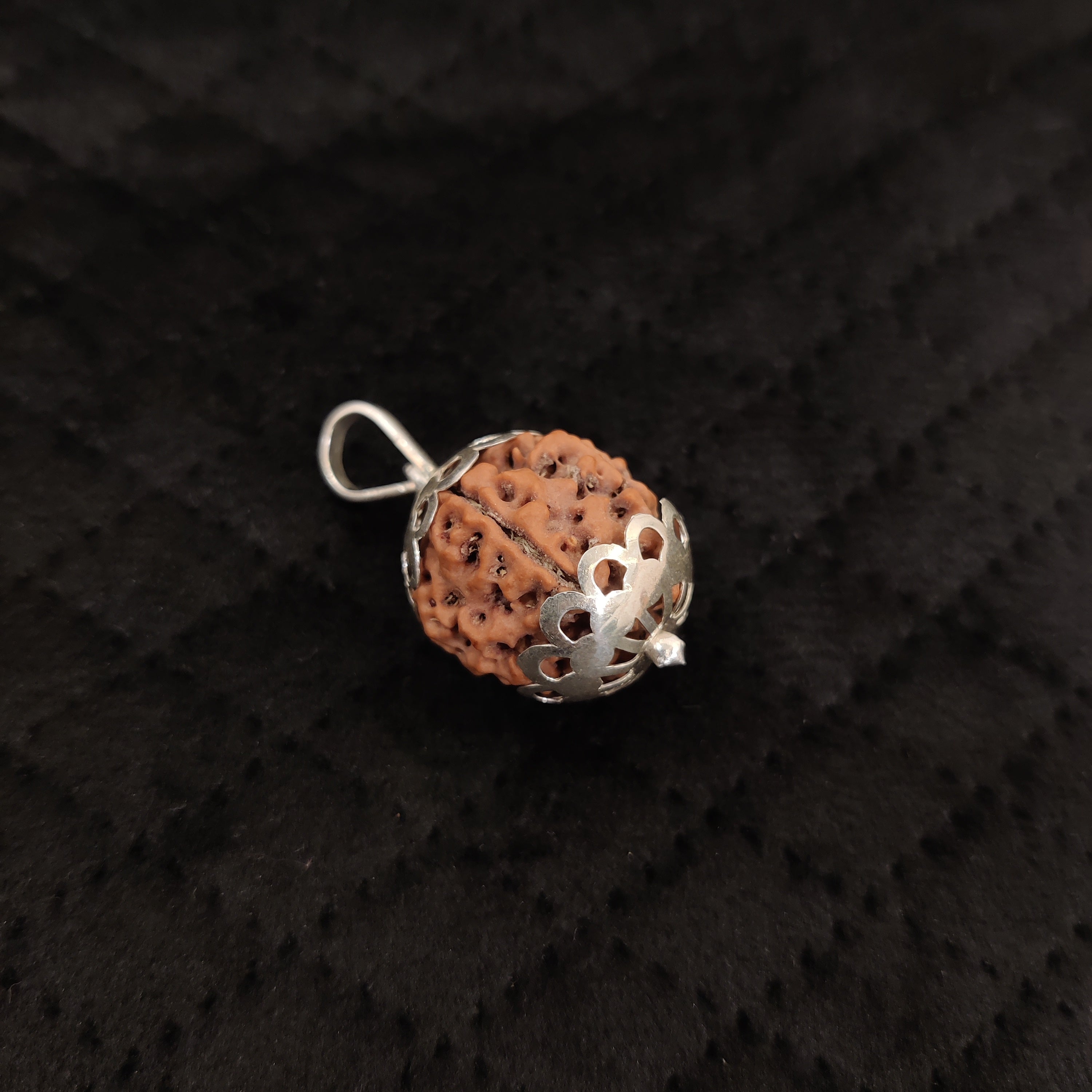 Natural 5 Mukhi Rudraksha Pendant | RP5M3