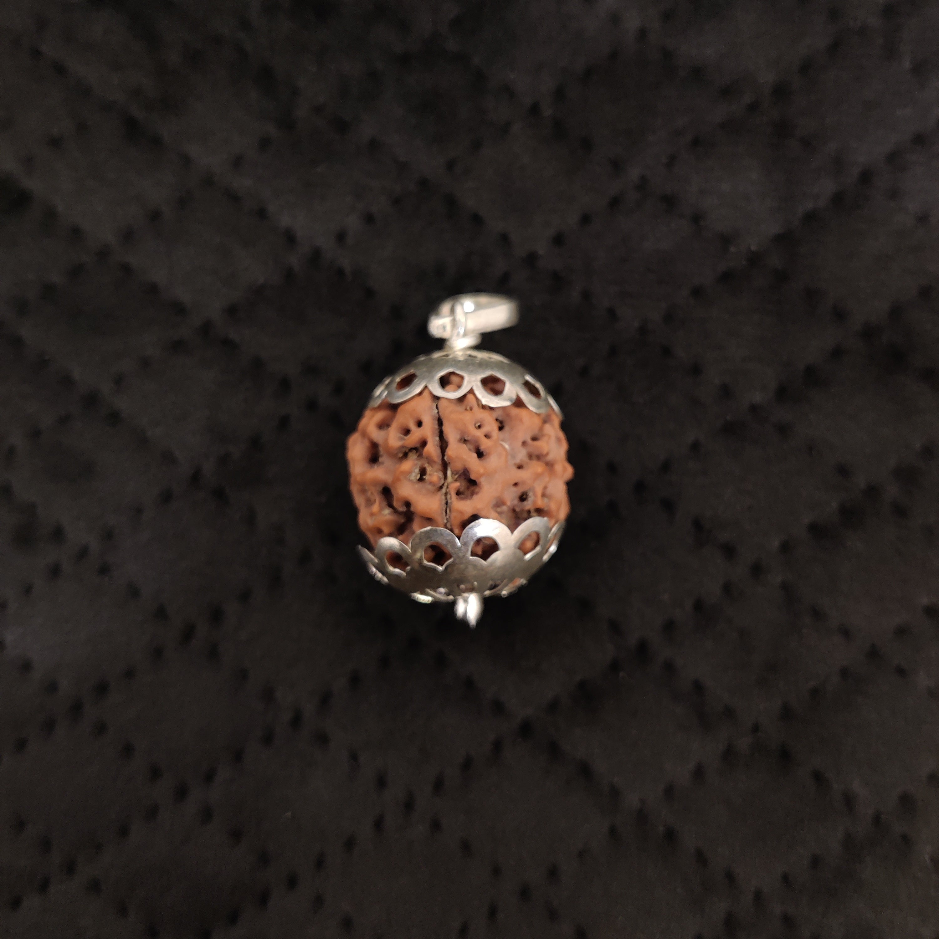 Natural 5 Mukhi Rudraksha Pendant | RP5M3
