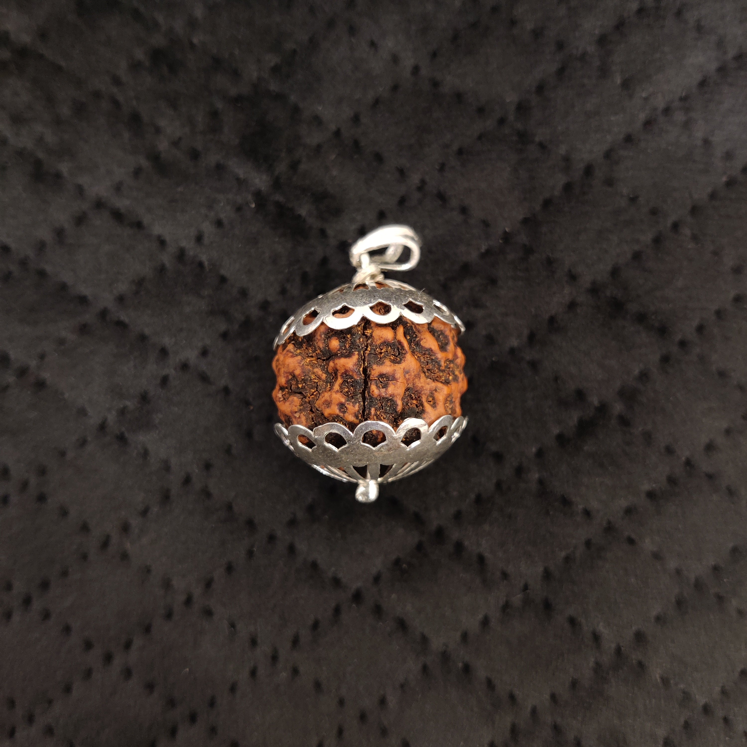 Natural 5 Mukhi Rudraksha Pendant | RP5M4