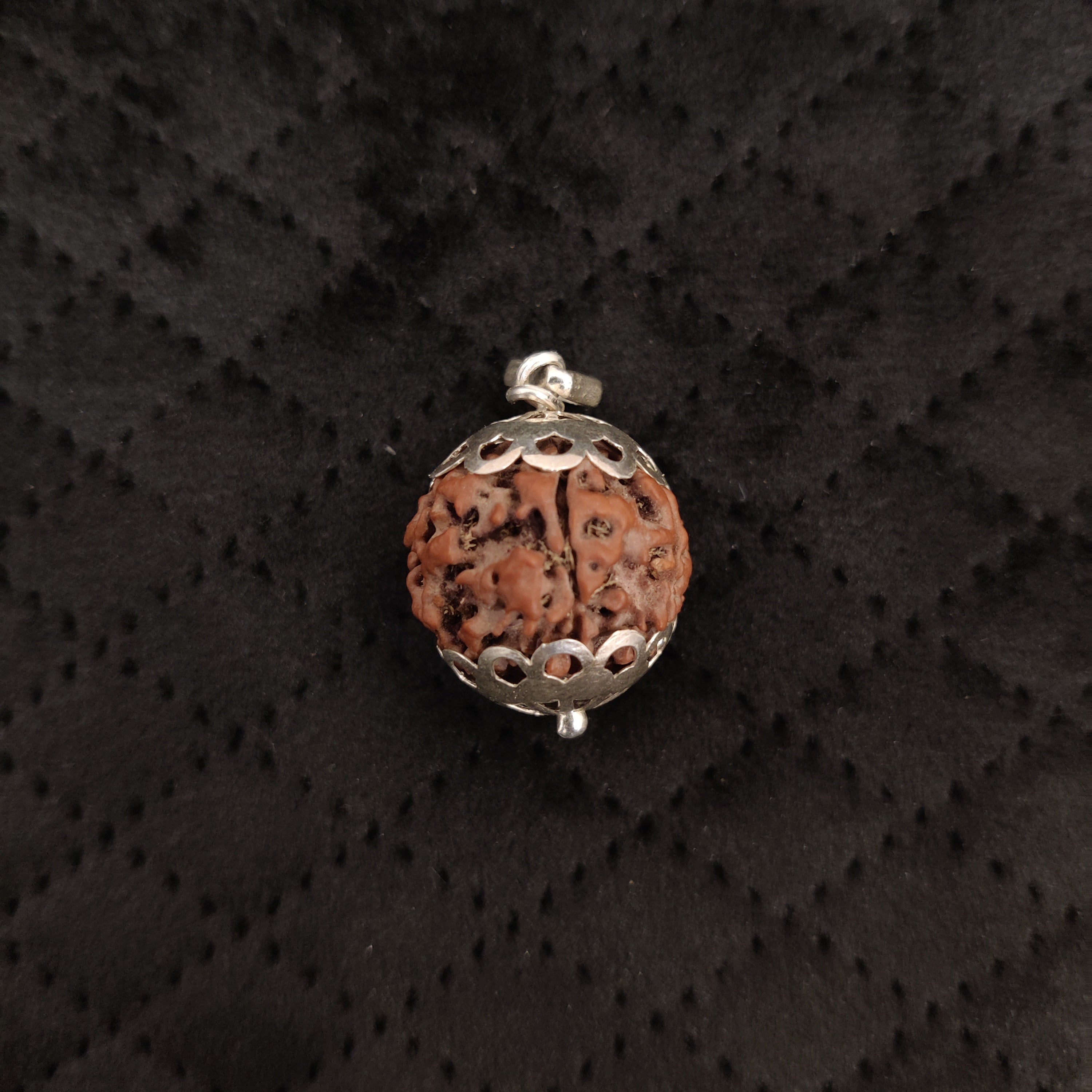 Natural 7 Mukhi Rudraksha Pendant | RP7M1