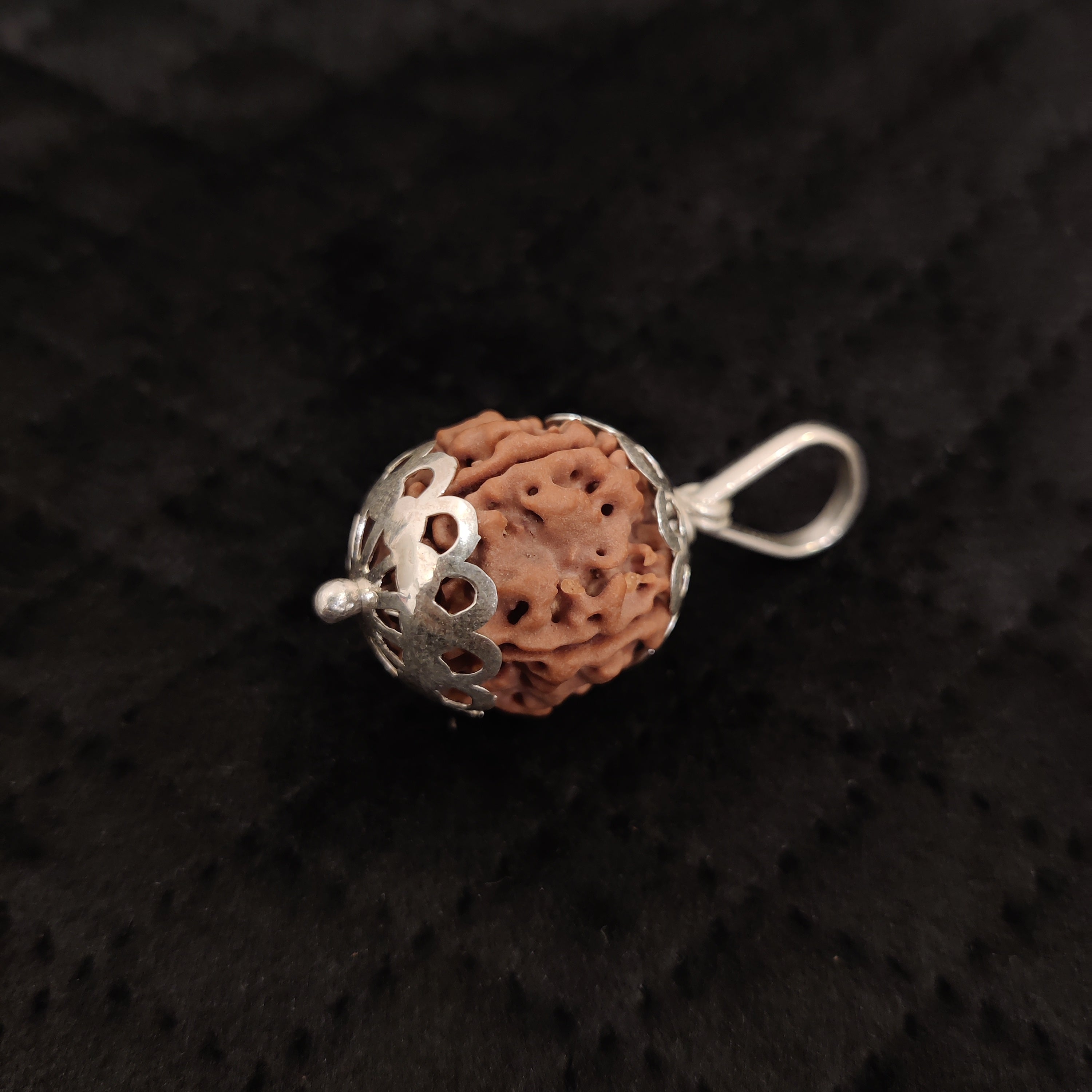 Natural 5 Mukhi Rudraksha Pendant | RP5M2