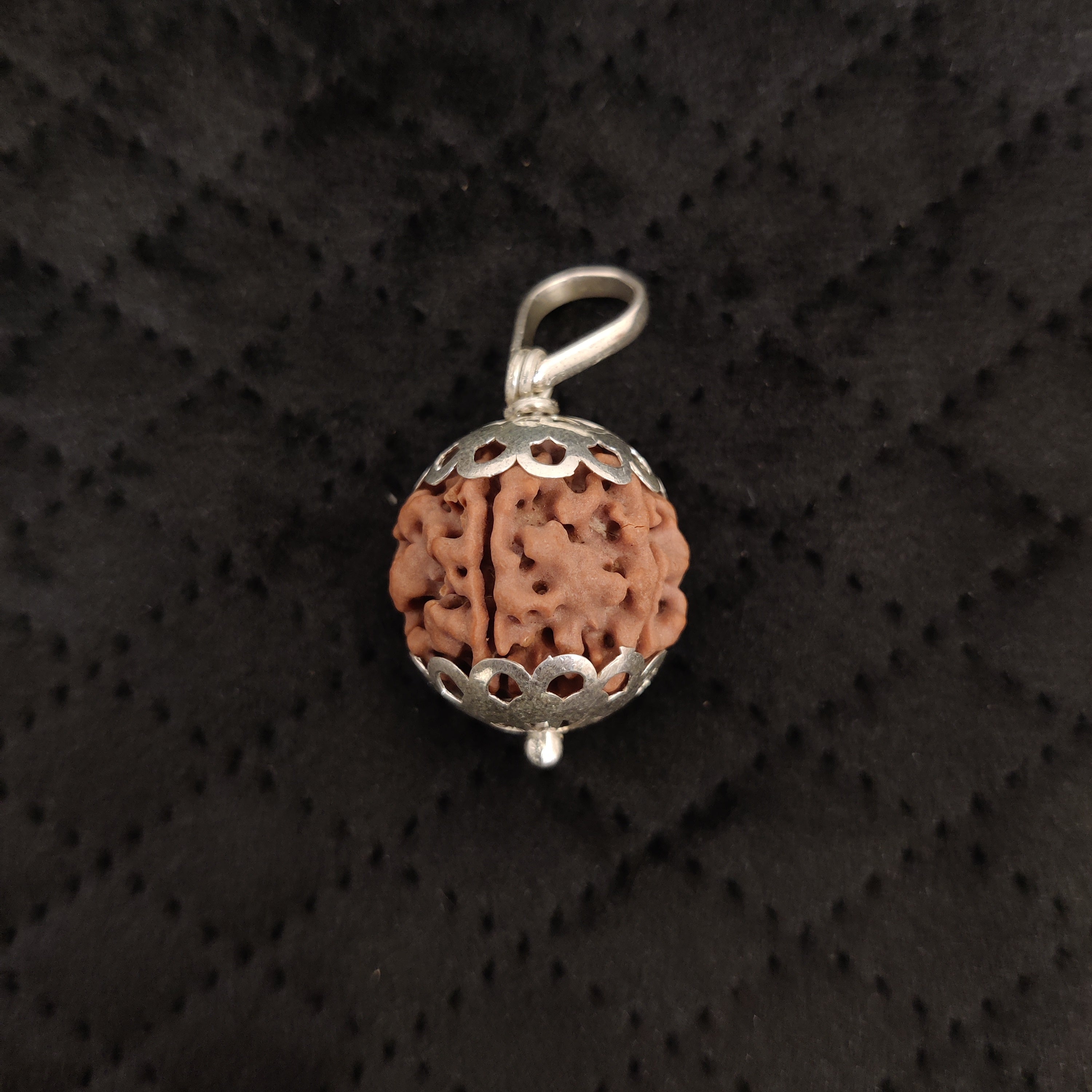 Natural 5 Mukhi Rudraksha Pendant | RP5M2