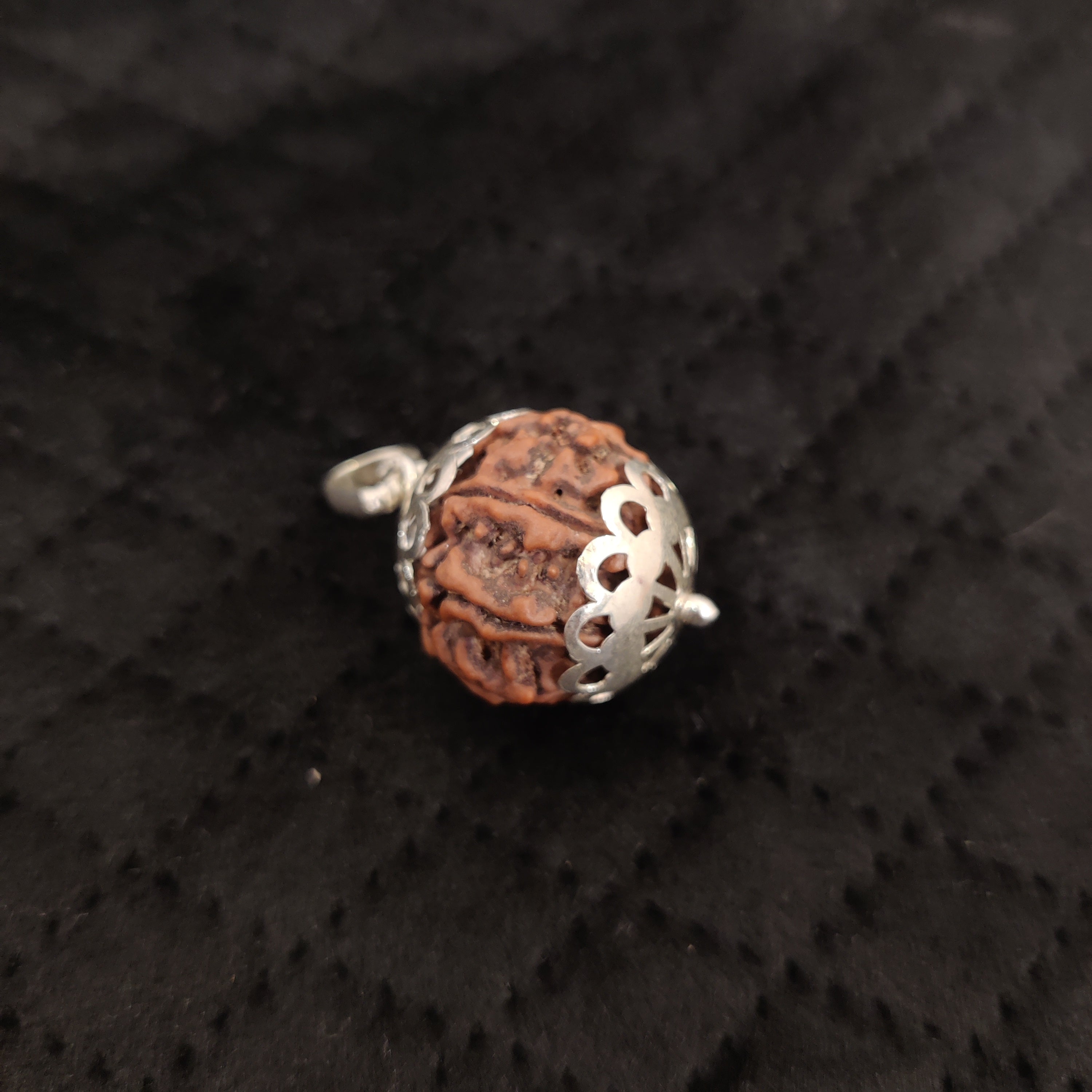 Natural 7 Mukhi Rudraksha Pendant | RP7M3