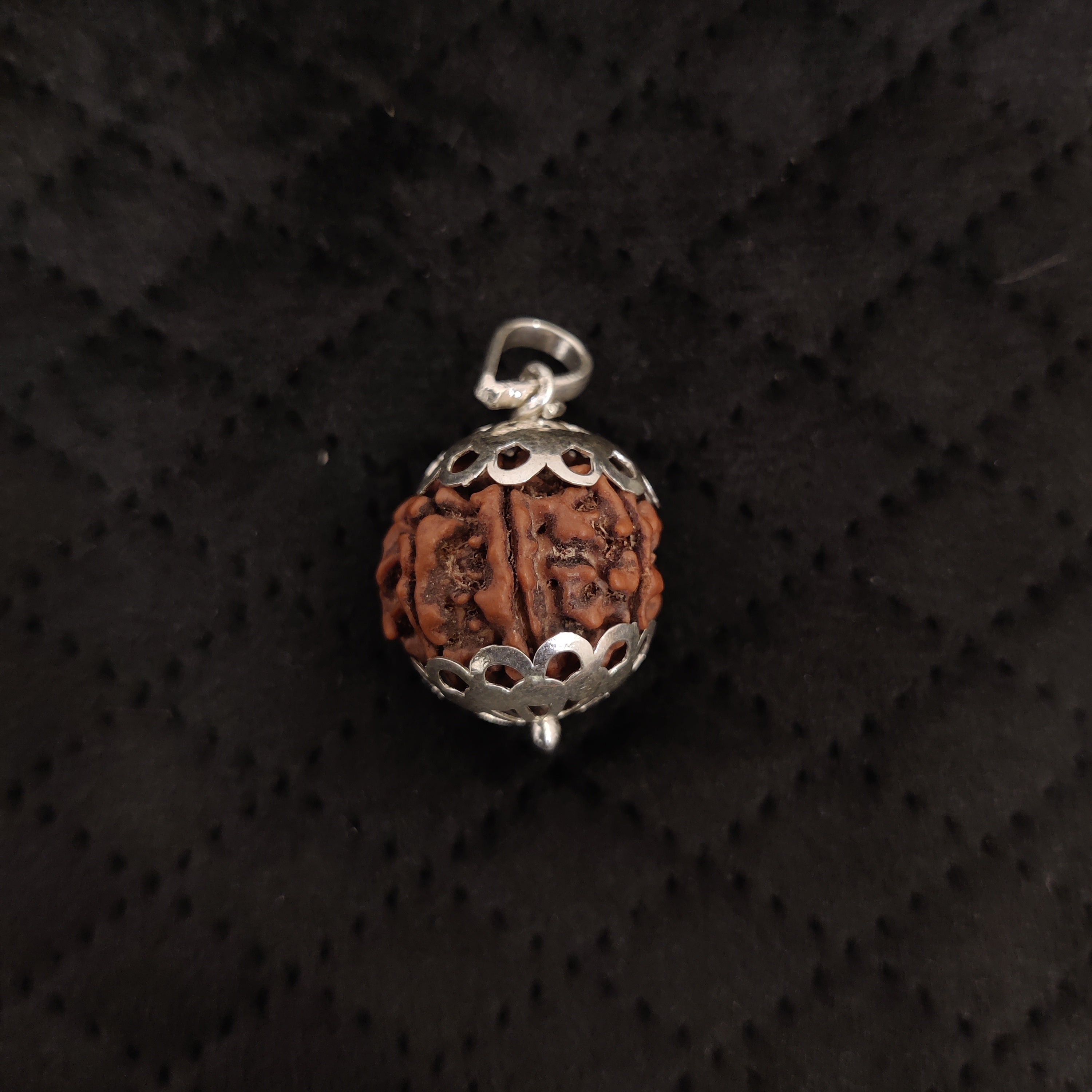 Natural 7 Mukhi Rudraksha Pendant | RP7M3