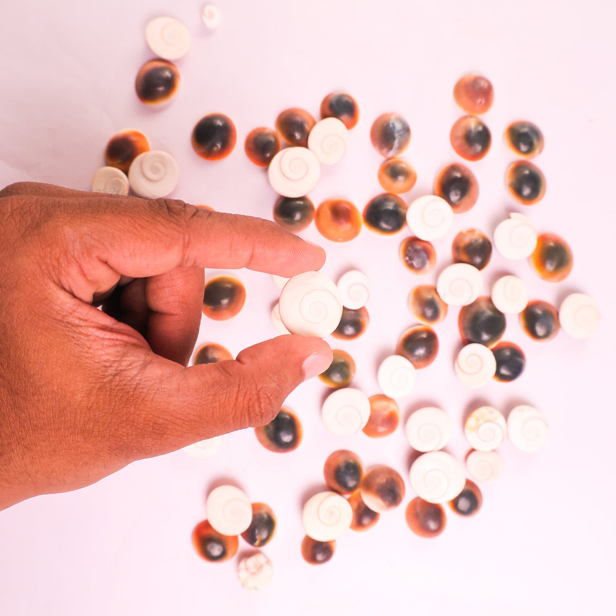 NATURAL GOMTI CHAKRA TUMBLE