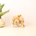 Citrine Cluster Point Geode 1010g