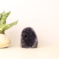 Amethyst Cluster Point Geode 1124g