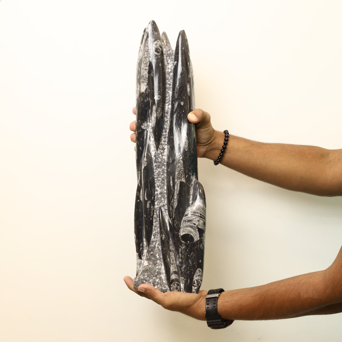 Natural Orthoceras Fossil Tower 9.330kg