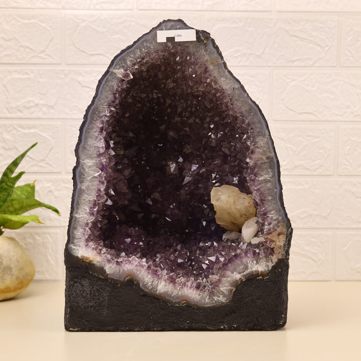Amethyst Geode 11.66 kg