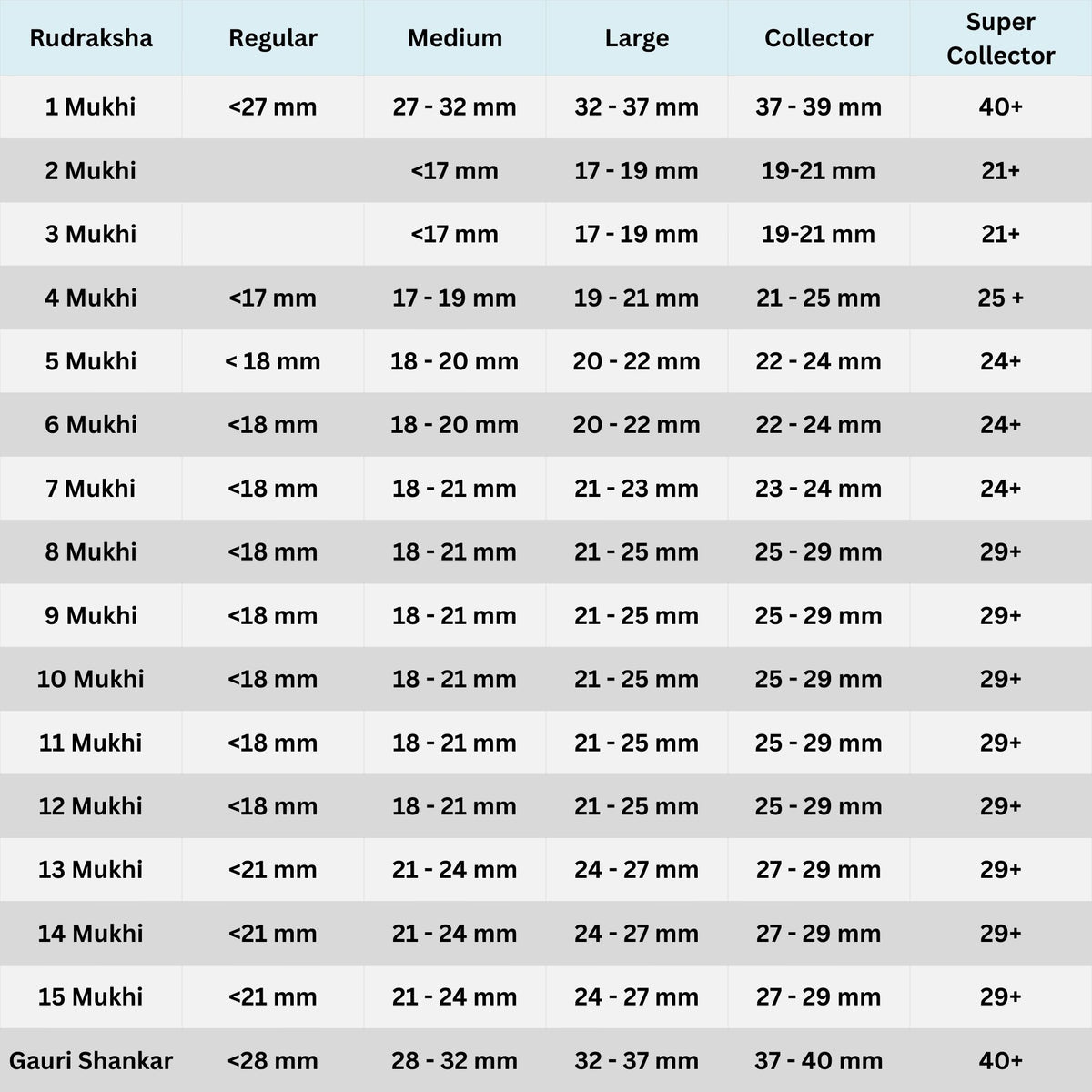 Rudraksha Size Chart