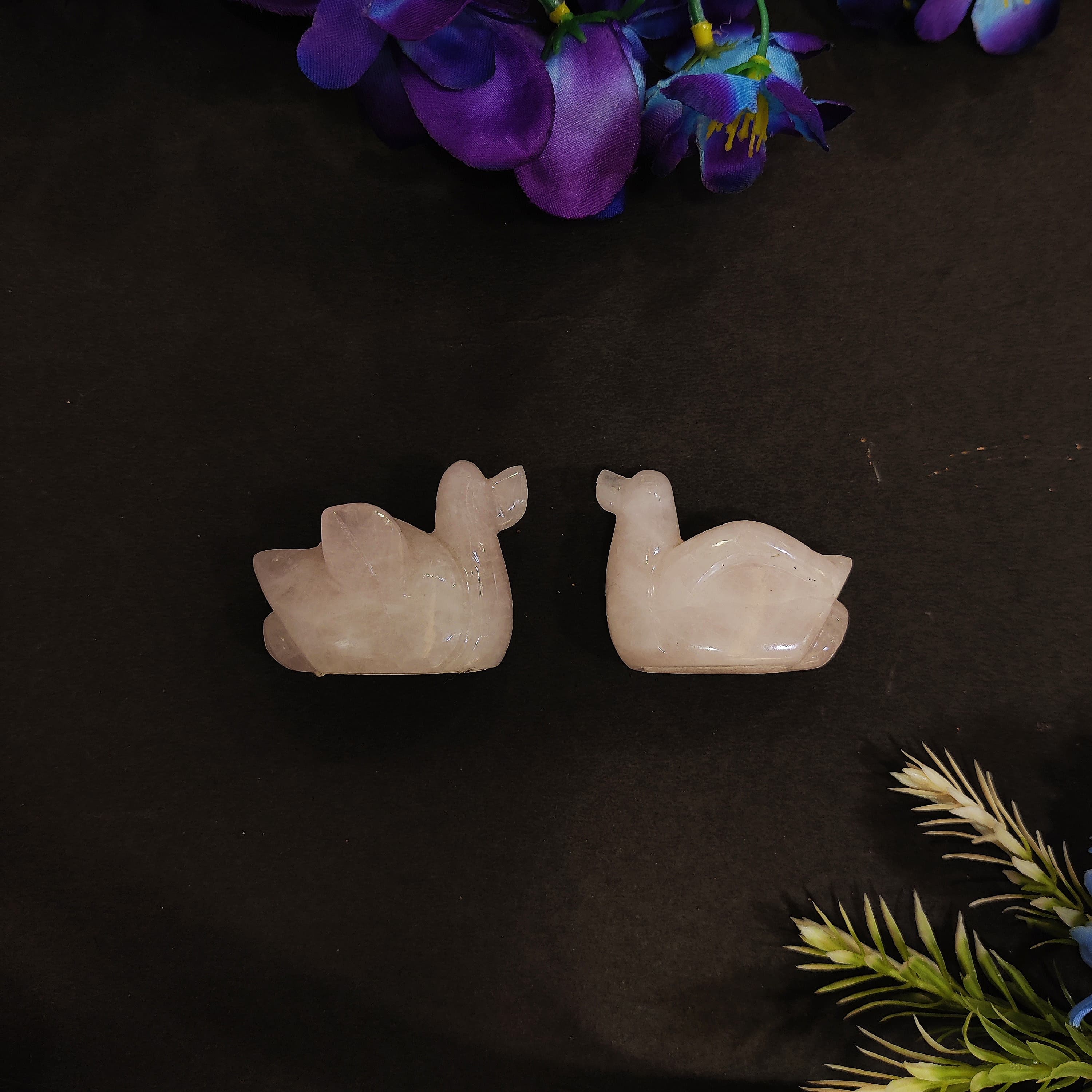 Rose Quartz  Duck Pair Set | 5