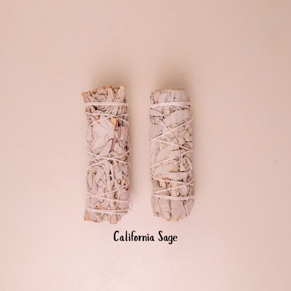 California Sage All Varieties Group Display – Bellarosa Gems