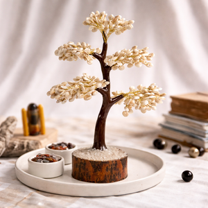 Natural Gomti Chakra Tree Full View – Prosperity Energy Tree | Bellarosa Gems