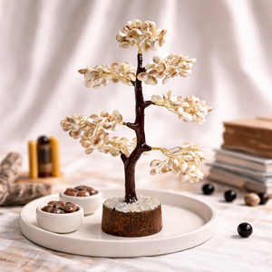 Natural Gomti Chakra Tree Side Angle – Crystal Bead Tree | Bellarosa Gems Surat