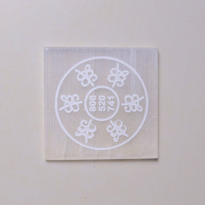 Natural Selenite Money Plate Styled Shot – Crystal Wealth Tool