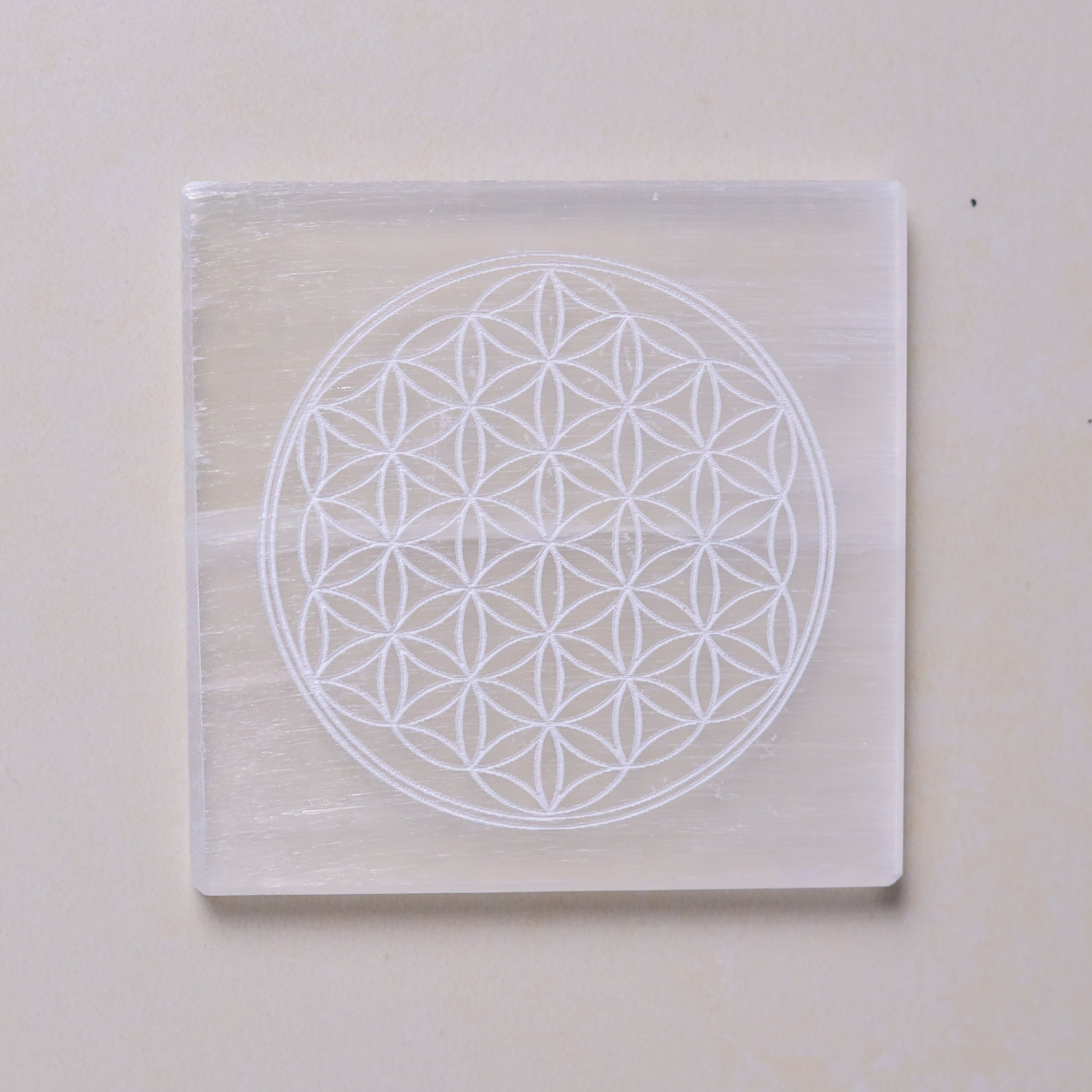 Natural Selenite Multi Crystal Plate Styled Shot – Crystal Recharging Tool
