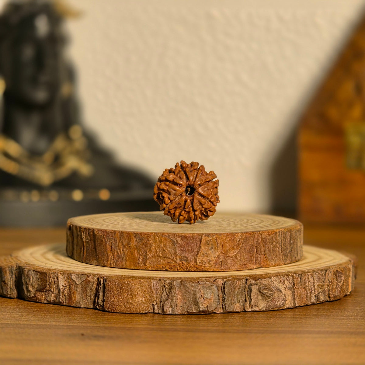 Natural 8 Mukhi Rudraksha | Nepal | Certified