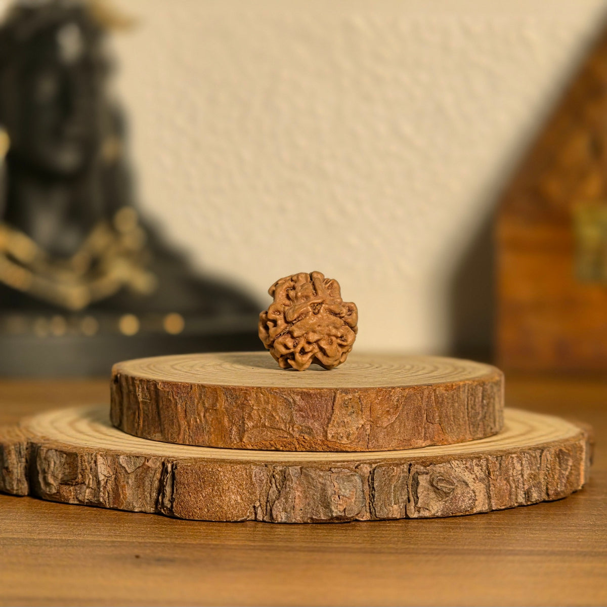 Natural 3 Mukhi Rudraksha | Nepal | Certified