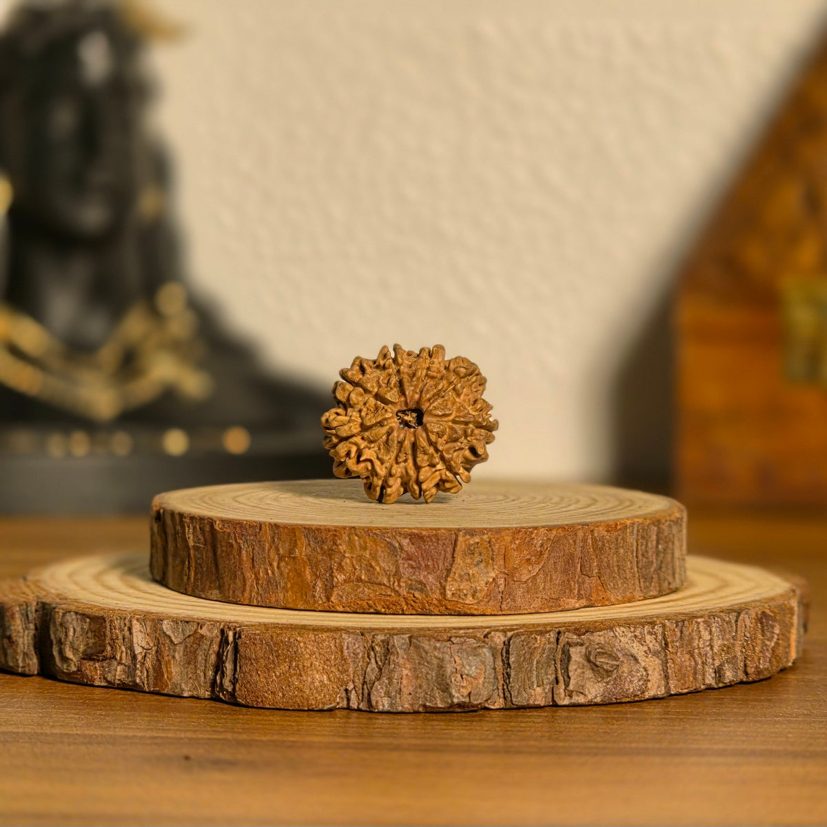 Natural 9 Mukhi Rudraksha | Nepal | Certified