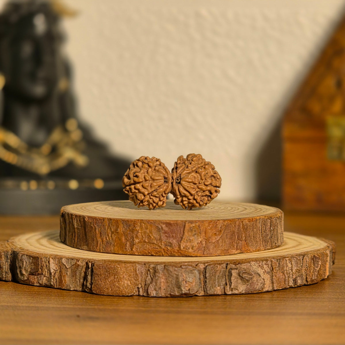 Natural Gauri Shankar Rudraksha | Nepal | Certified