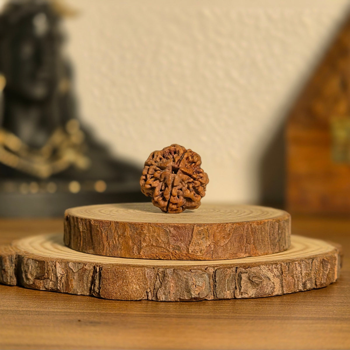 Natural 4 Mukhi Rudraksha | Nepal | Certified
