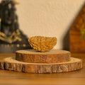 Natural Rudraksha 1 Mukhi