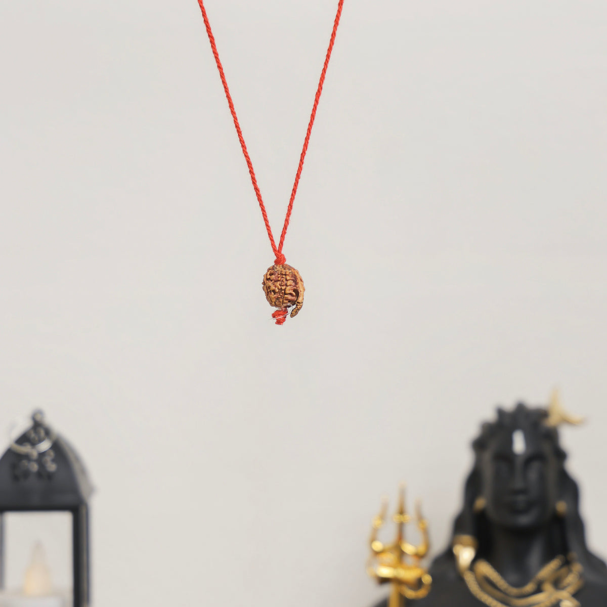 Natural Ganesh Rudraksha | Nepal | Certified